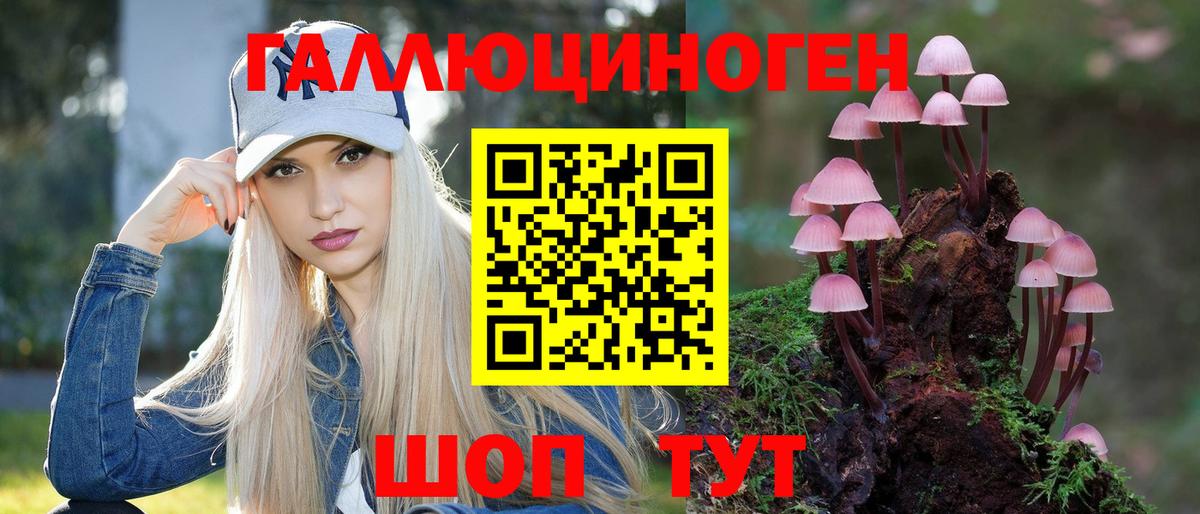 Семёнов  Псилоцибиновые грибы Cubensis  Вход с VPN 